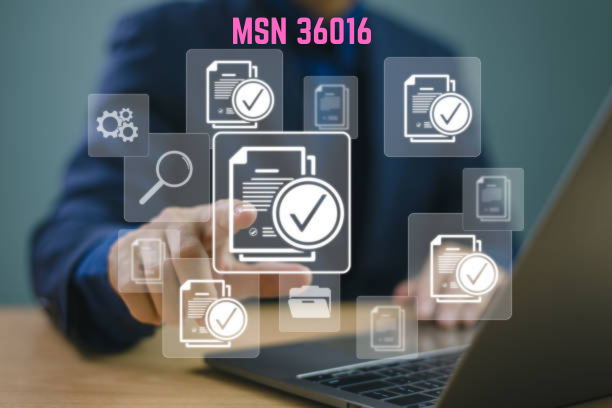 MSN 36016 Dashboard Overview